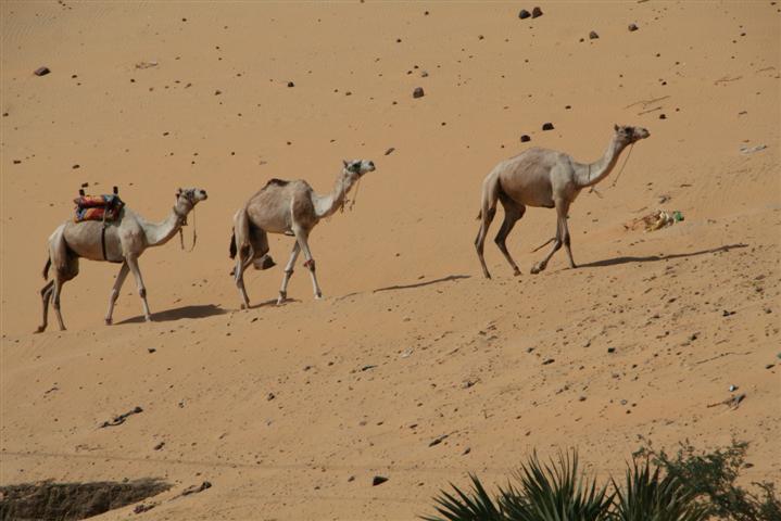 Jeepsafari Spezial von Hurghada